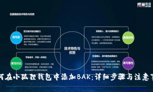 如何在小狐狸钱包中添加BAK：详细步骤与注意事项