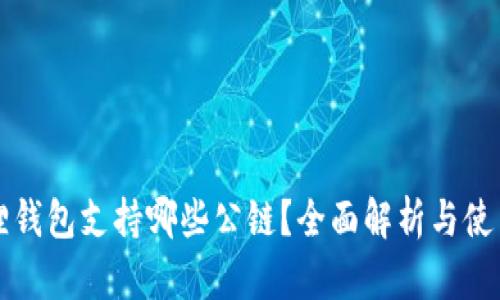 小狐狸钱包支持哪些公链？全面解析与使用指南