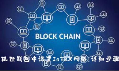 如何在狐狸钱包中设置IoTeX网络：详细步骤与指南