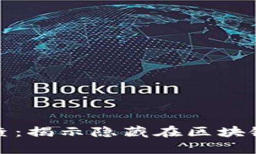 数字货币侦查：揭示隐藏在区块链背后的真相