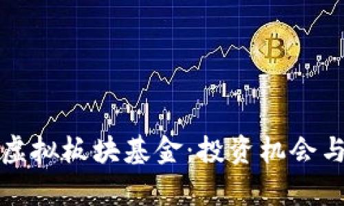 数字货币虚拟板块基金：投资机会与风险分析