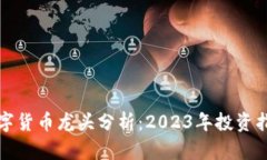 数字货币龙头分析：2023年