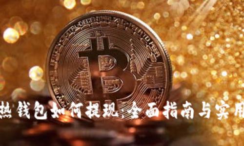 狐狸热钱包如何提现：全面指南与实用技巧
